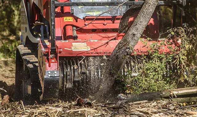 Land Clearing Using a Skid Steer Mulcher Attachment